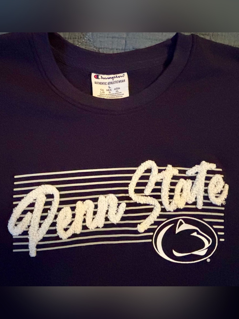 Penn StateChampion Navy sweatshirt with White Terry Penn State Script